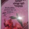 Plegarias antes de la Tebilah