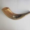 Shofar katán (carnero) 29 Ctms
