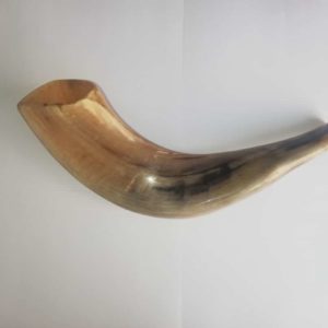 Shofar katán (carnero) 29 Ctms