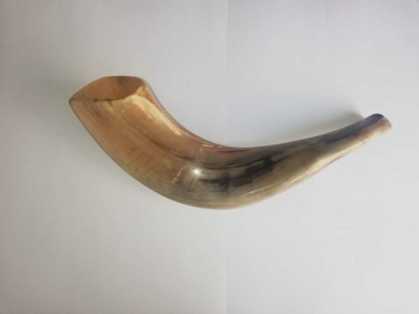 Shofar katán (carnero) 29 Ctms