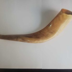 Shofar katán (carnero) 33 Ctms