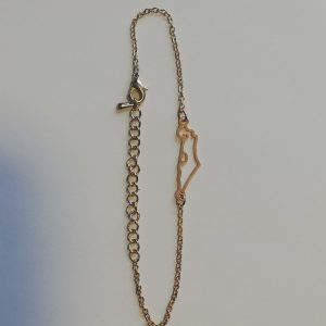 Pulsera mapa Israel Acero dorado