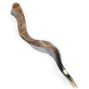 Shofar Gadol Yemenita 94 Ctms